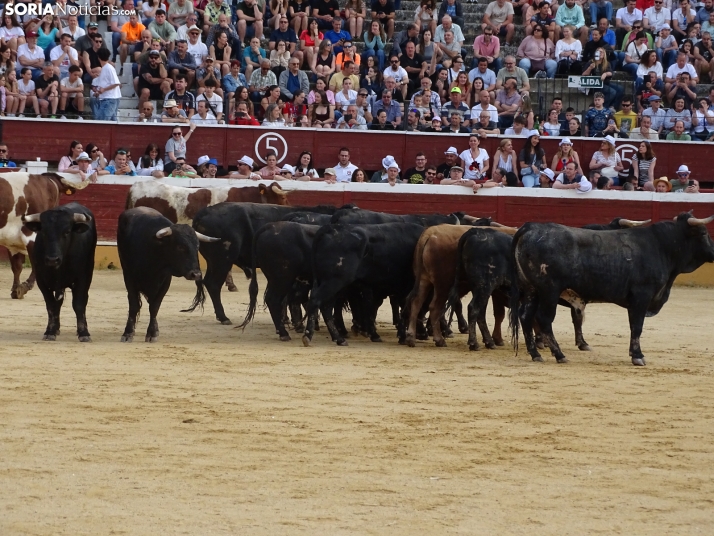 Una imagen de la plaza de toros esta mañana de sábado. /PC