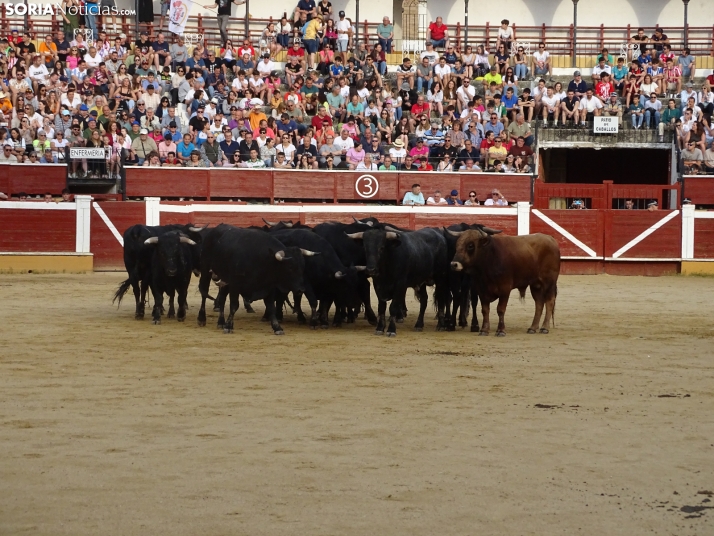 Una imagen de la plaza de toros esta mañana de sábado. /PC