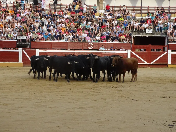 Una imagen de la plaza de toros esta mañana de sábado. /PC