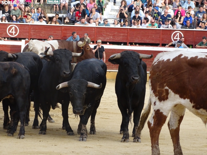 Una imagen de la plaza de toros esta mañana de sábado. /PC