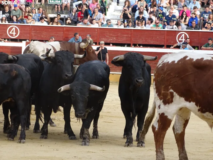 Una imagen de la plaza de toros esta mañana de sábado. /PC