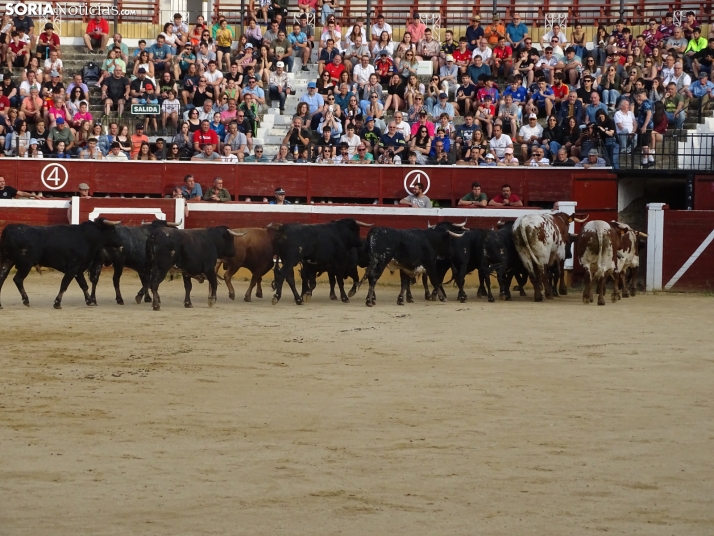 Una imagen de la plaza de toros esta mañana de sábado. /PC