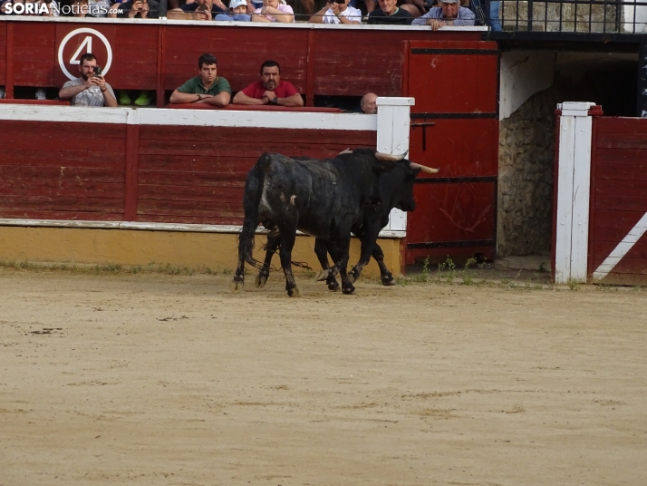 Una imagen de la plaza de toros esta mañana de sábado. /PC
