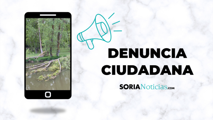 Denuncian el peligro de los chopos que se vencen en el Soto Playa