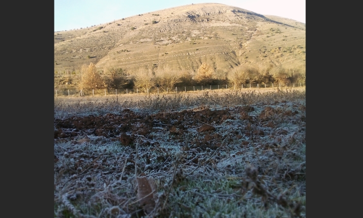 Espejo de Tera se despierta con una helada tardía de casi 4 grados bajo cero