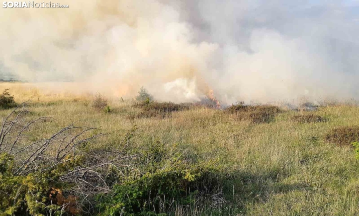 Apagado, tras más de cinco horas, un incendio en Aldealices
