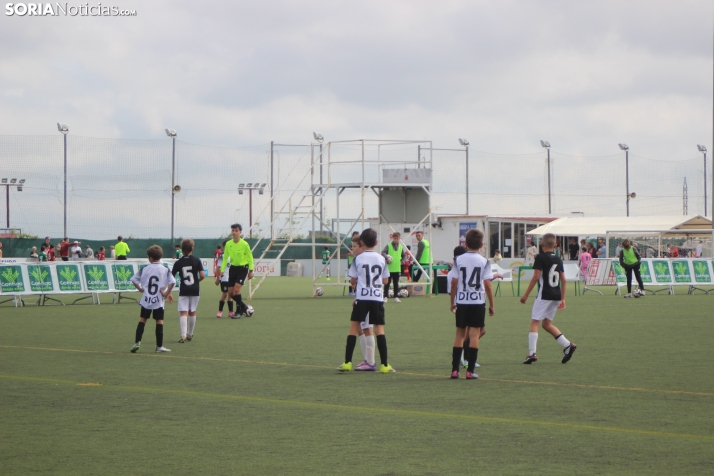 V Torneo Elige Soria 2026