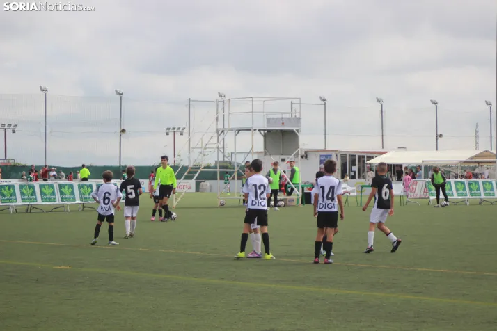 V Torneo Elige Soria 2026