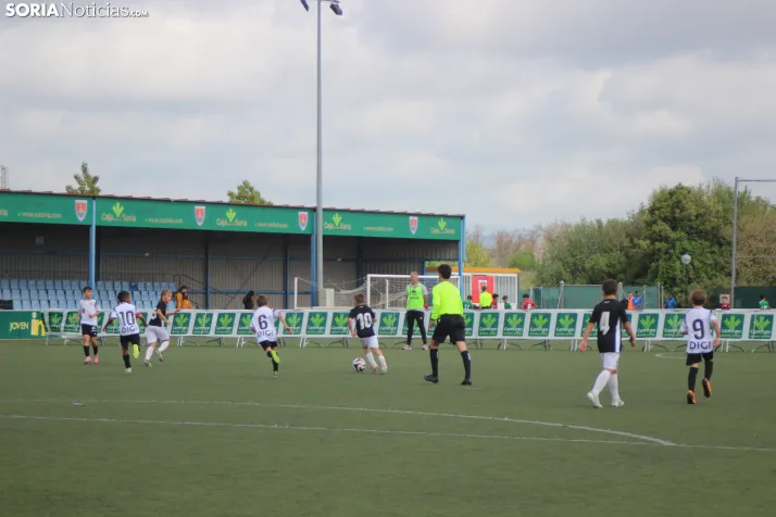 V Torneo Elige Soria 2026