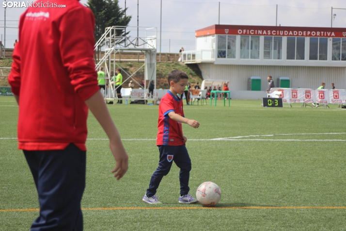 V Torneo Elige Soria 2026