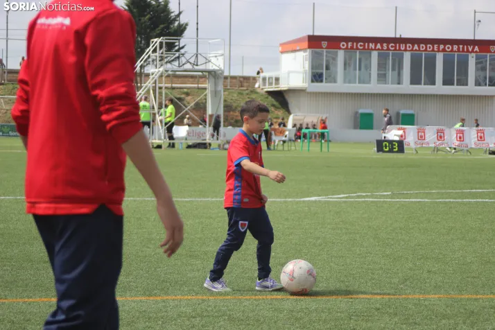 V Torneo Elige Soria 2026
