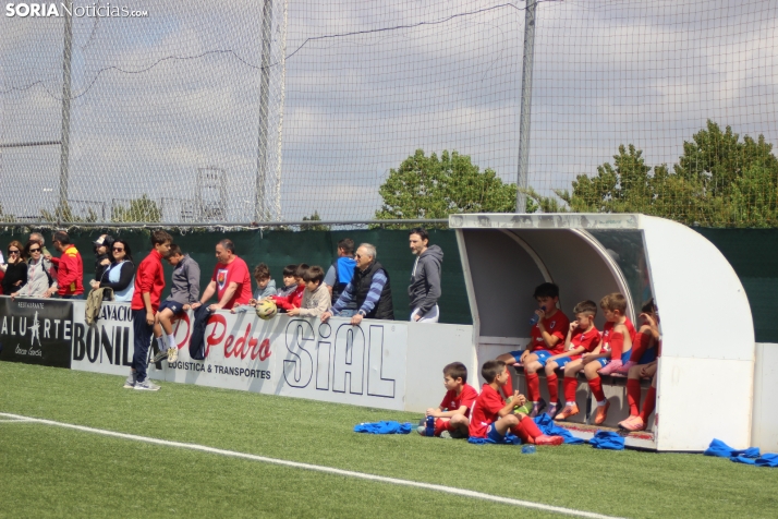 V Torneo Elige Soria 2026