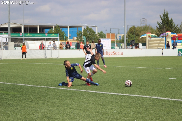 V Torneo Elige Soria 2026