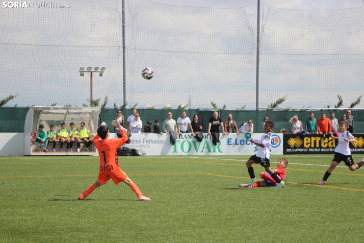 V Torneo Elige Soria 2026