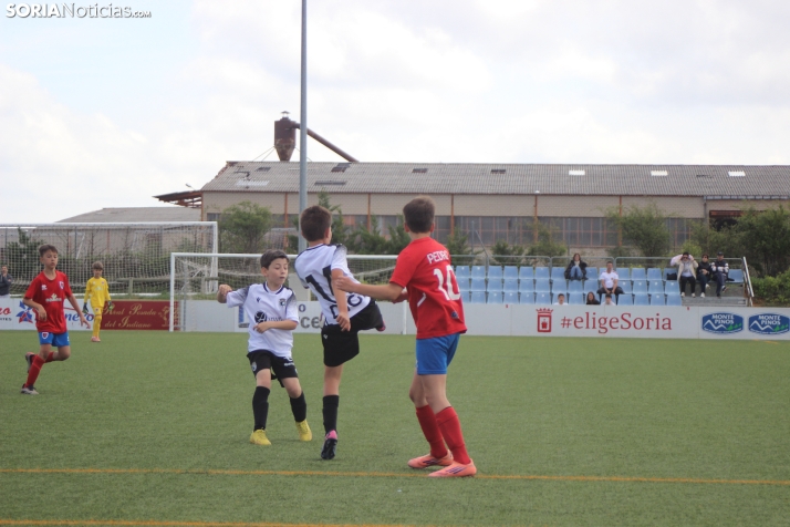 V Torneo Elige Soria 2026
