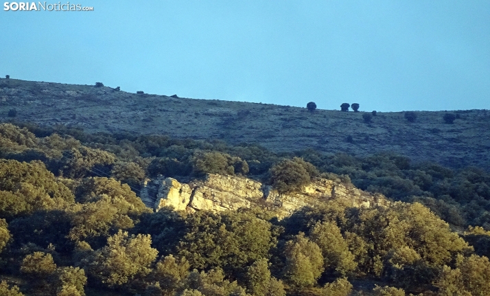 Nuevas ayudas y menos trabas para frenar el abandono de los montes en Castilla y León