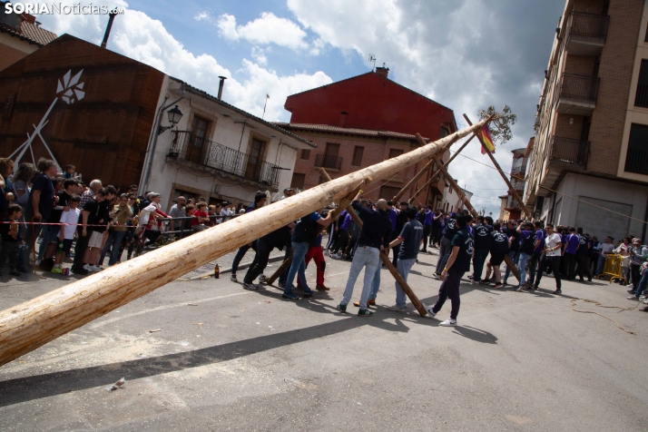 Pingada de Mayo en San Leonardo