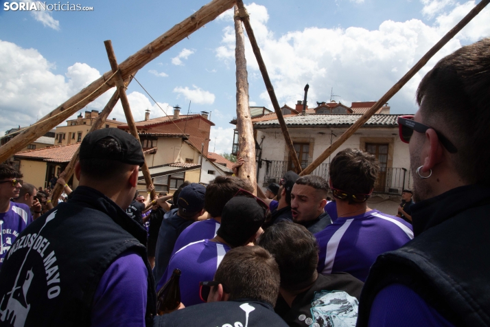 Pingada de Mayo en San Leonardo