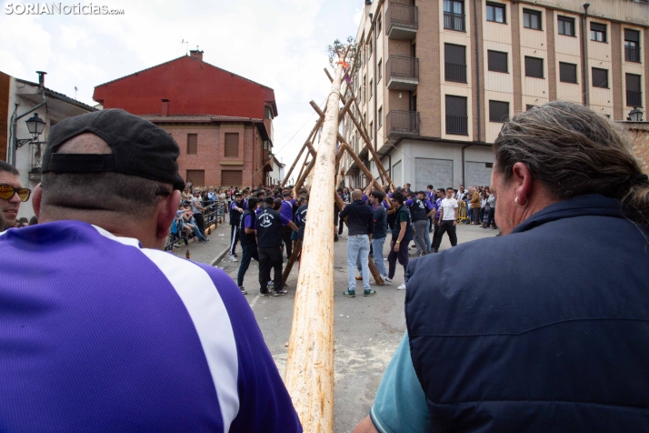 Pingada de Mayo en San Leonardo