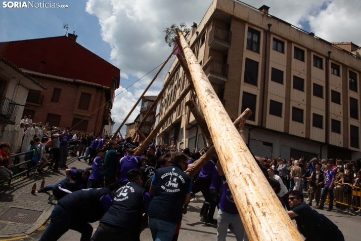Pingada de Mayo en San Leonardo