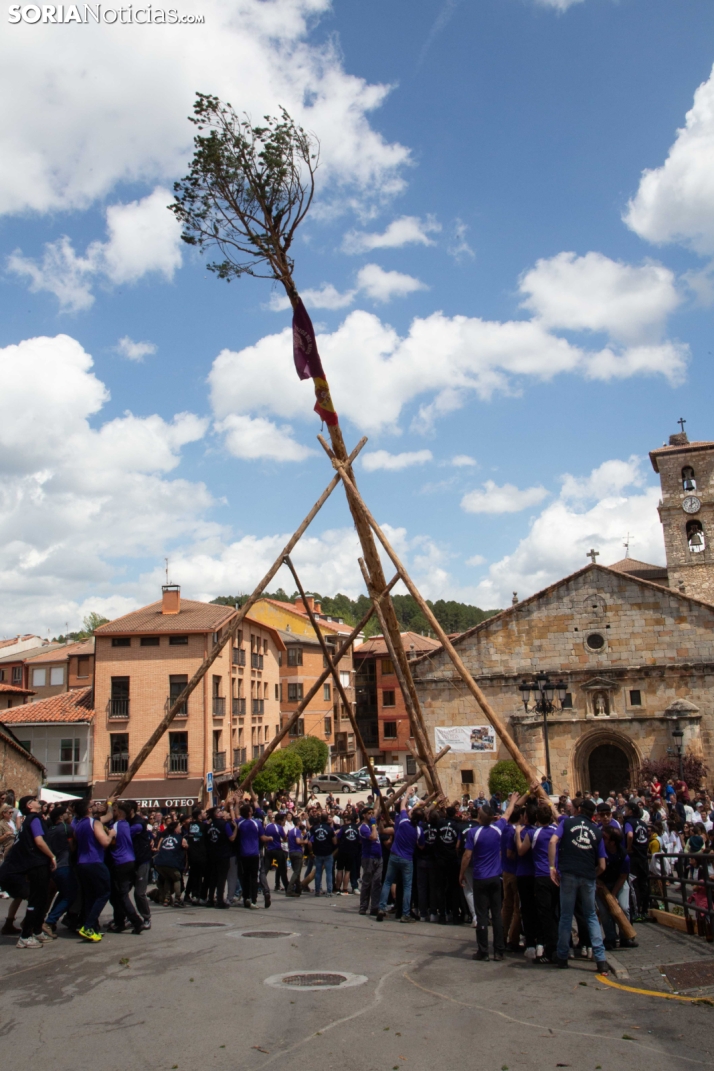Pingada de Mayo en San Leonardo