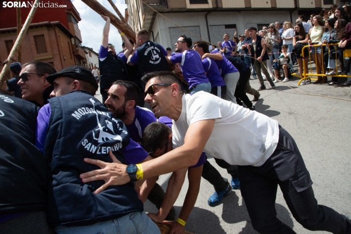Pingada de Mayo en San Leonardo