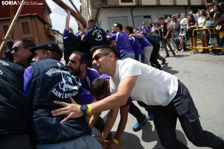Pingada de Mayo en San Leonardo