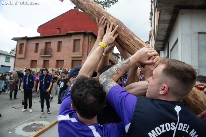 Pingada de Mayo en San Leonardo