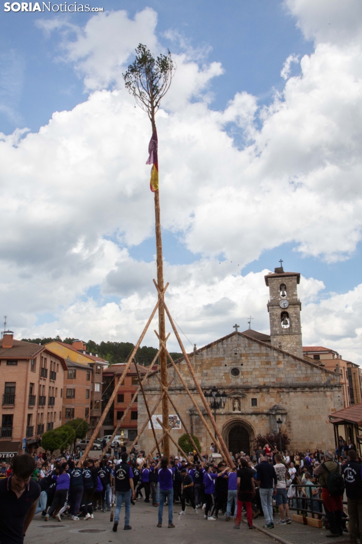 Pingada de Mayo en San Leonardo