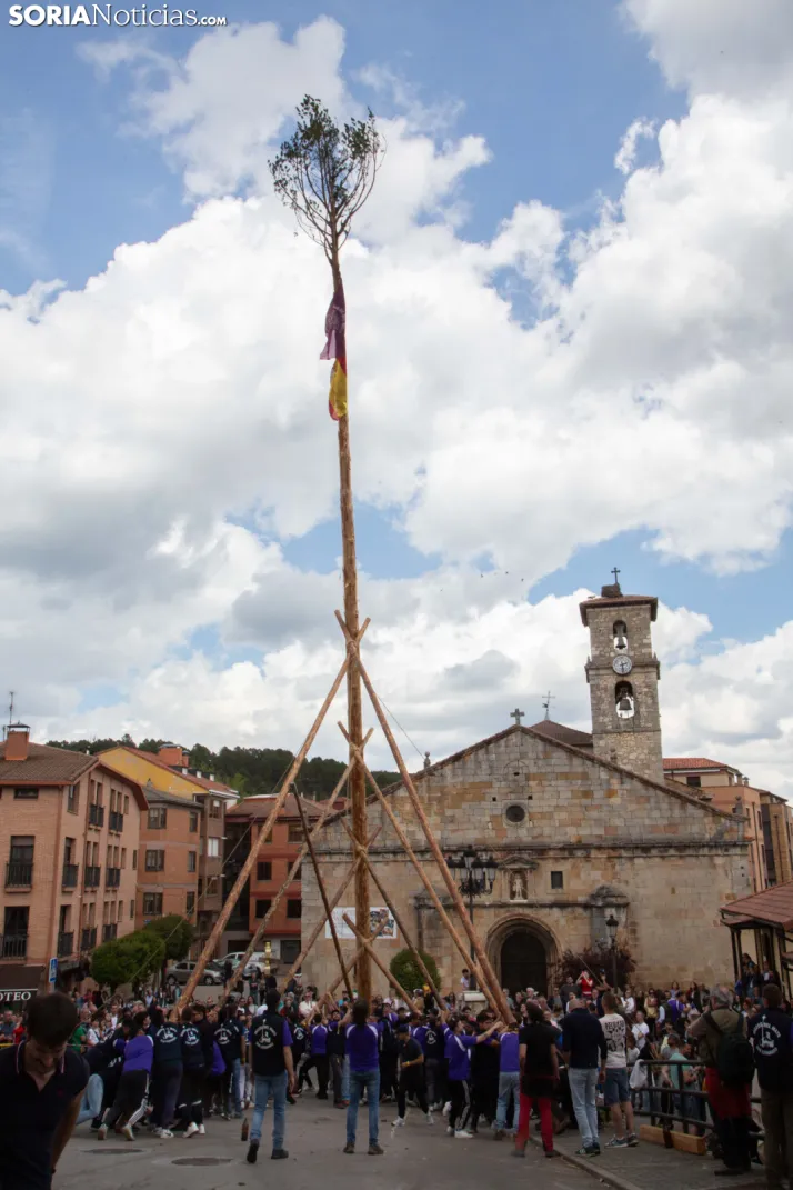 Pingada de Mayo en San Leonardo