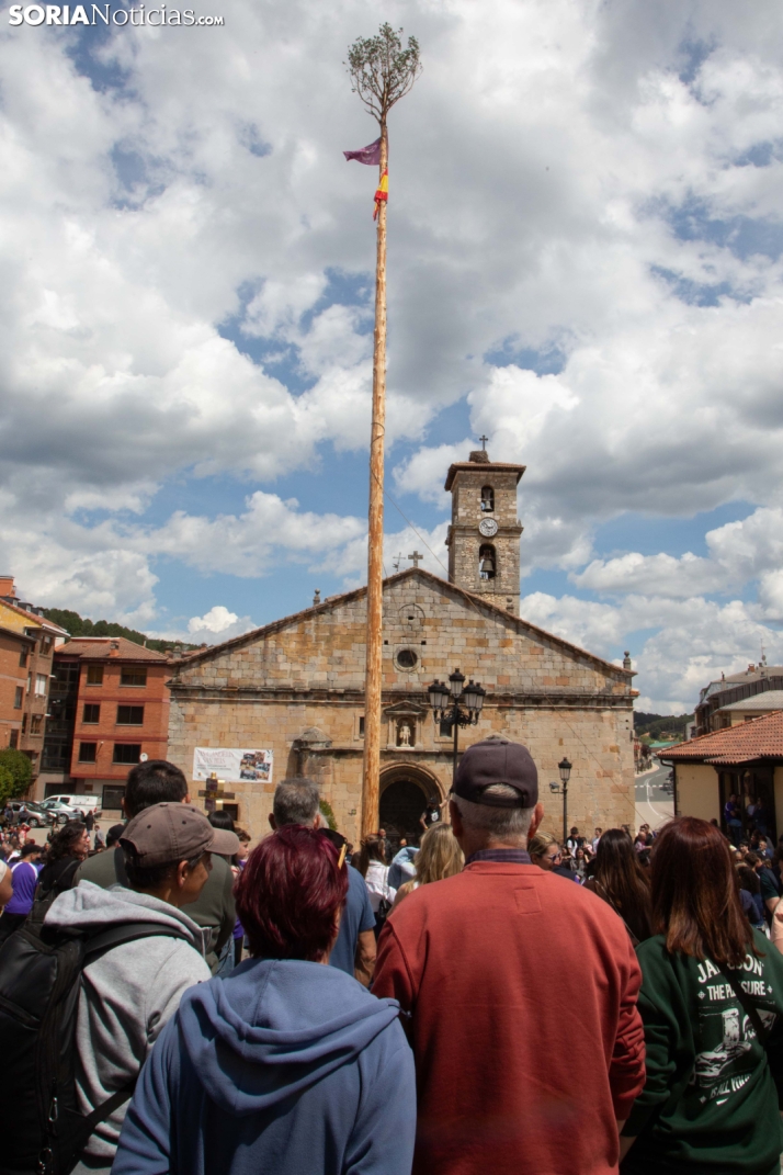 Pingada de Mayo en San Leonardo