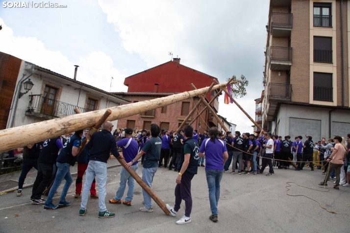 Pingada de Mayo en San Leonardo