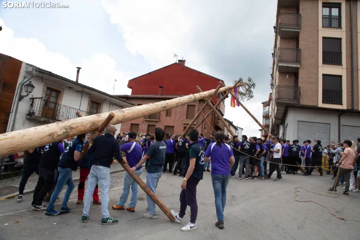 Pingada de Mayo en San Leonardo