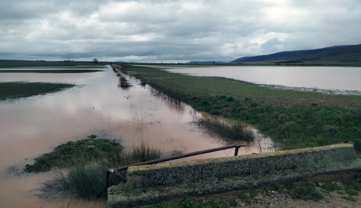 ASAJA exige a Hacienda la rebaja de módulos del IRPF