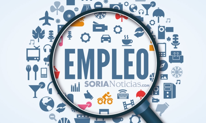 Se necesita montador/repartidor de muebles en Soria