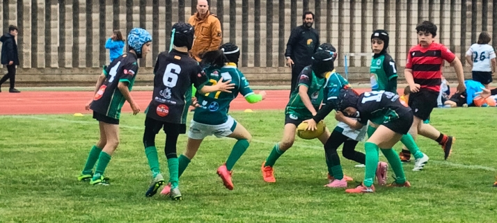 El Ingenieros de Soria consolida su apuesta por la cantera con un multitudinario torneo de rugby base