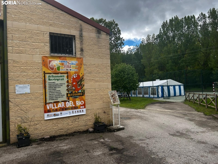 Feria Micológica de Tierras Altas 2026
