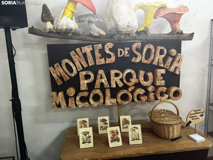 Feria Micológica de Tierras Altas 2026
