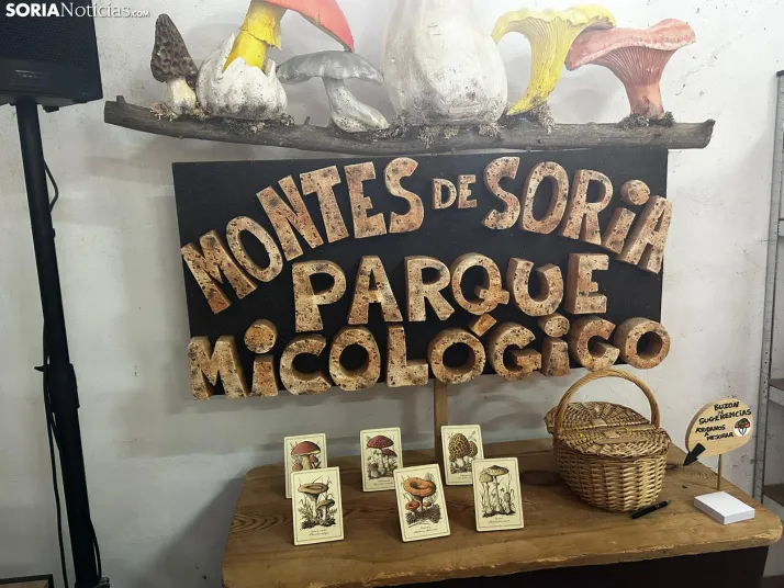 Feria Micológica de Tierras Altas 2026