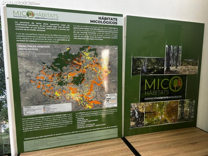 Feria Micológica de Tierras Altas 2026