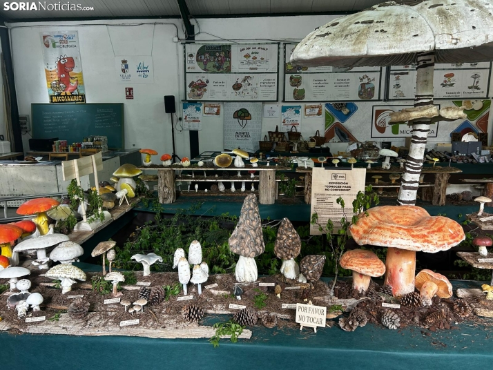 Feria Micológica de Tierras Altas 2026