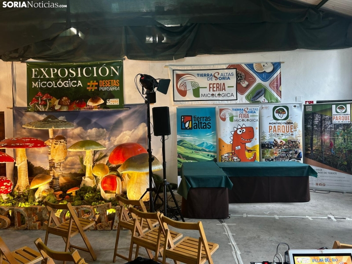 Feria Micológica de Tierras Altas 2026