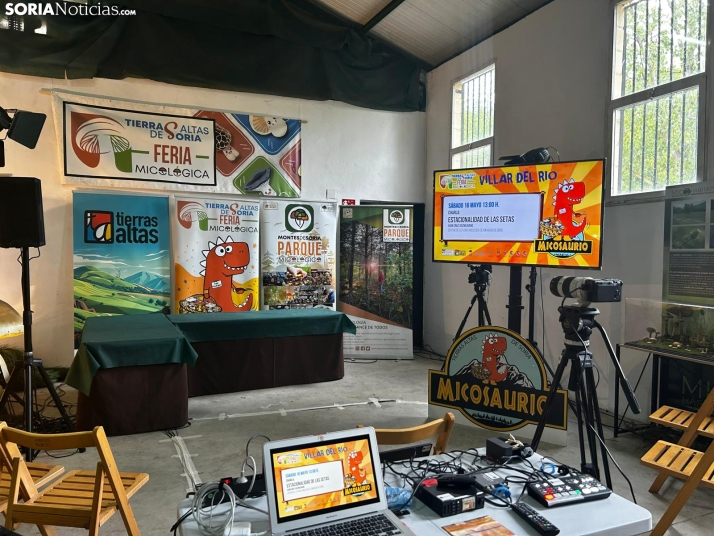 Feria Micológica de Tierras Altas 2026