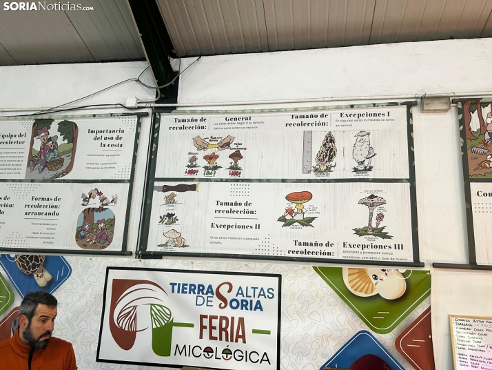 Feria Micológica de Tierras Altas 2026