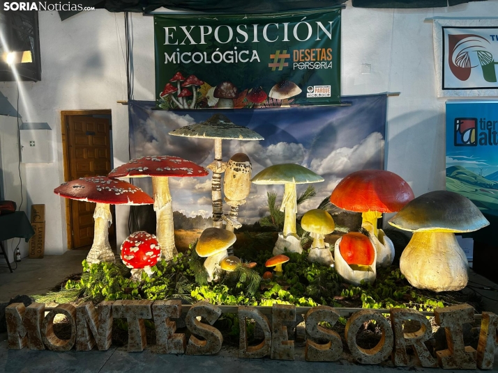 Feria Micológica de Tierras Altas 2026