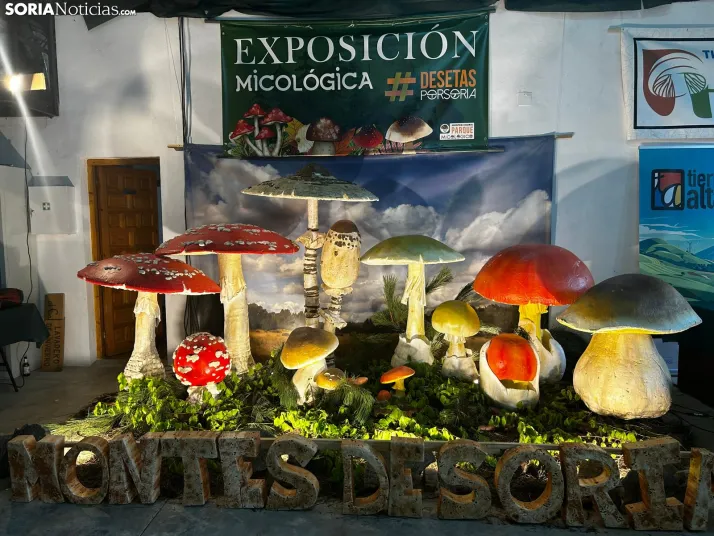 Feria Micológica de Tierras Altas 2026