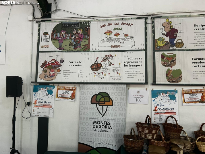 Feria Micológica de Tierras Altas 2026