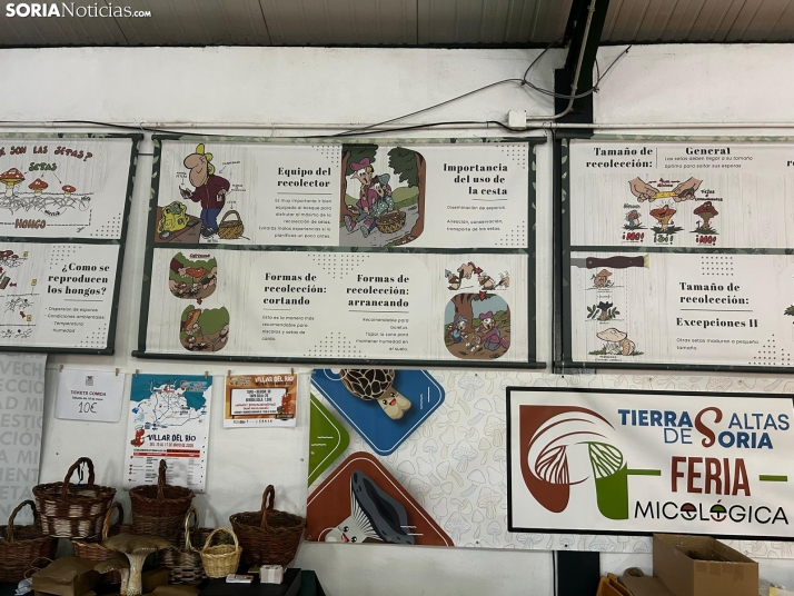 Feria Micológica de Tierras Altas 2026