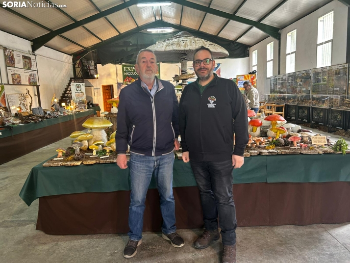 Feria Micológica de Tierras Altas 2026
