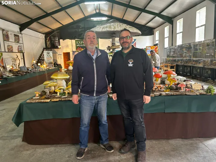 Feria Micológica de Tierras Altas 2026
